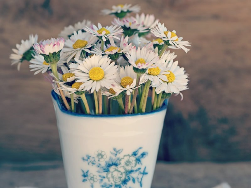19/10/2017-5 Cute & Simple Vase Fillers